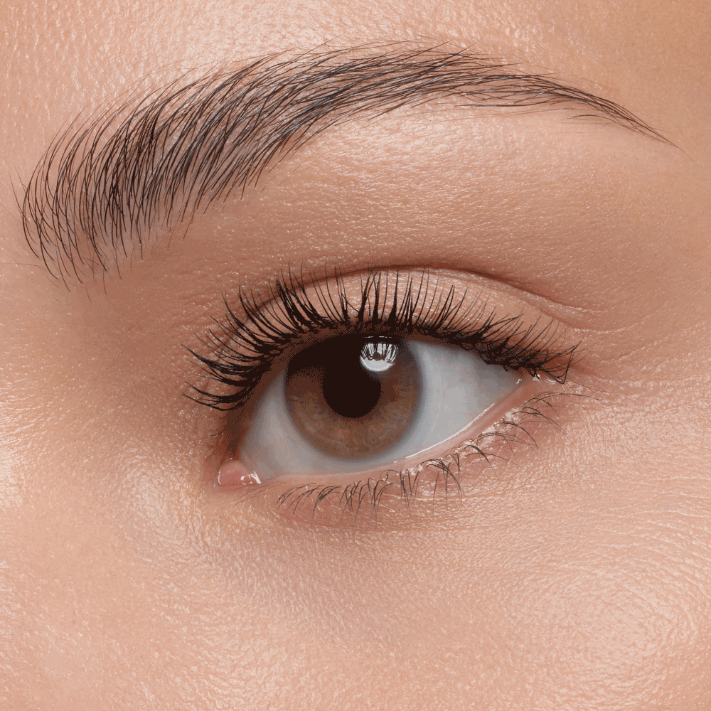 Bild: essence Mascara Lash Without Limits Extreme Lengthening & Volume