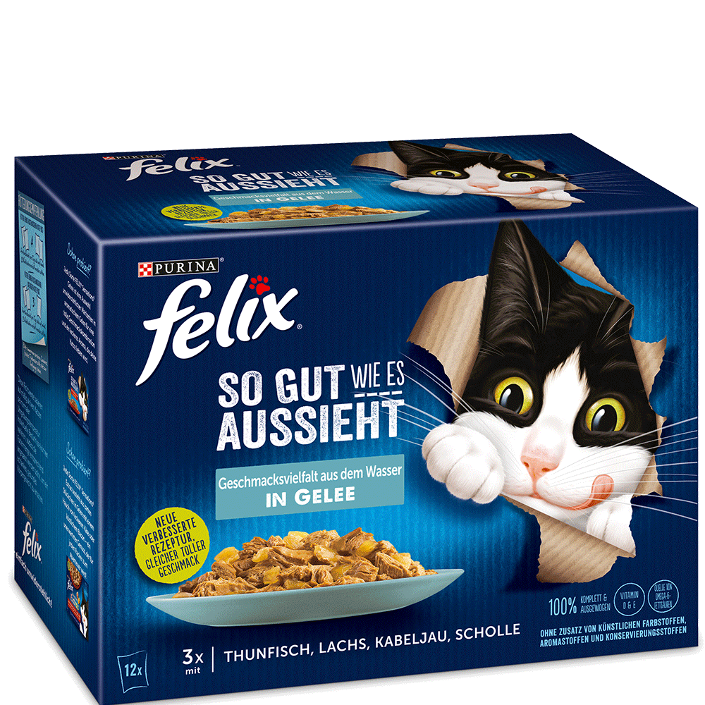 Bild: Felix Geschmacksvielfalt aus dem Wasser in Gelee