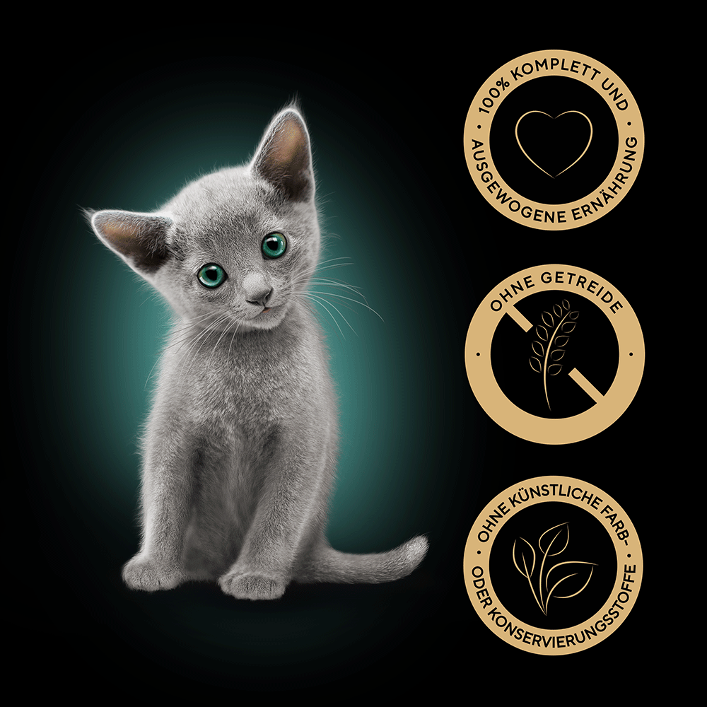 Bild: Sheba Kitten in Sauce Feine Vielfalt mit Lachs und Huhn
