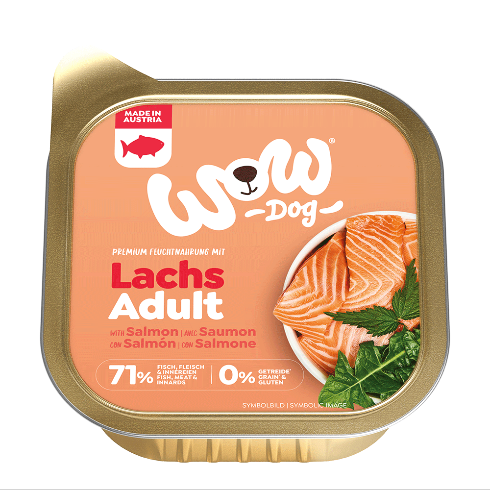 Bild: WOW Adult mit Lachs, Löwenzahn und Brennnessel