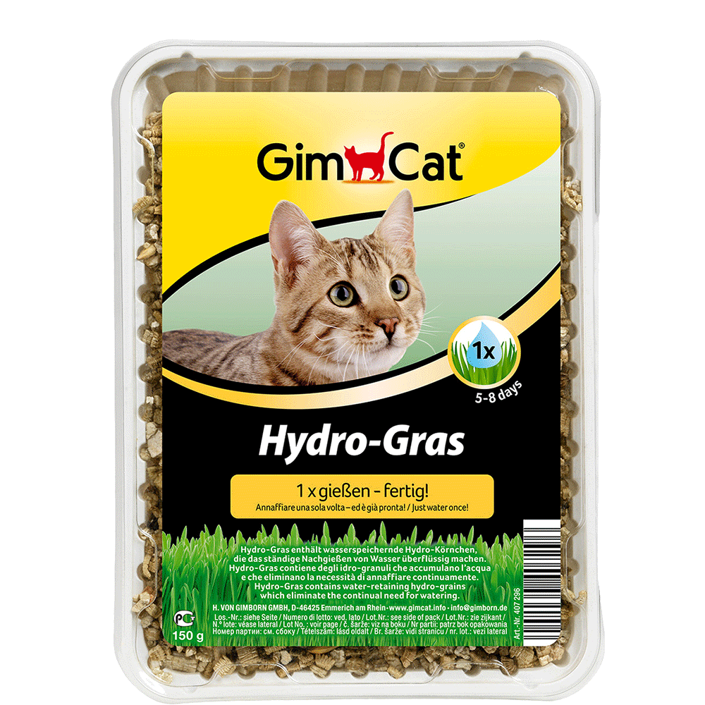 Bild: GimCat Hydro Katzengras