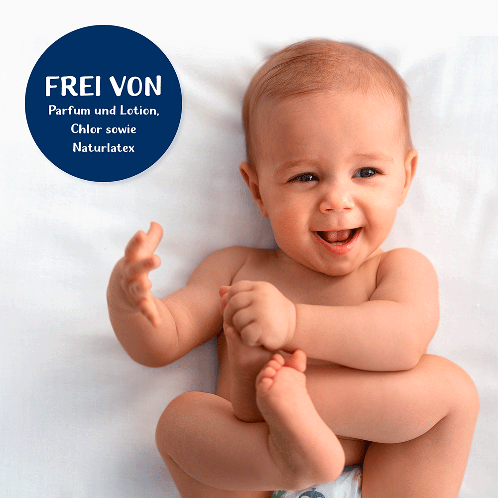 Bild: HiPP Vorratsbox Babysanft Windeln Gr. 6