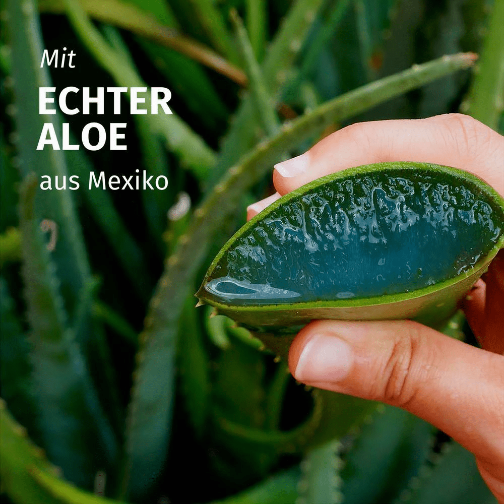 Bild: Herbal essences Feuchtigkeits Pflegespülung mit Aloe