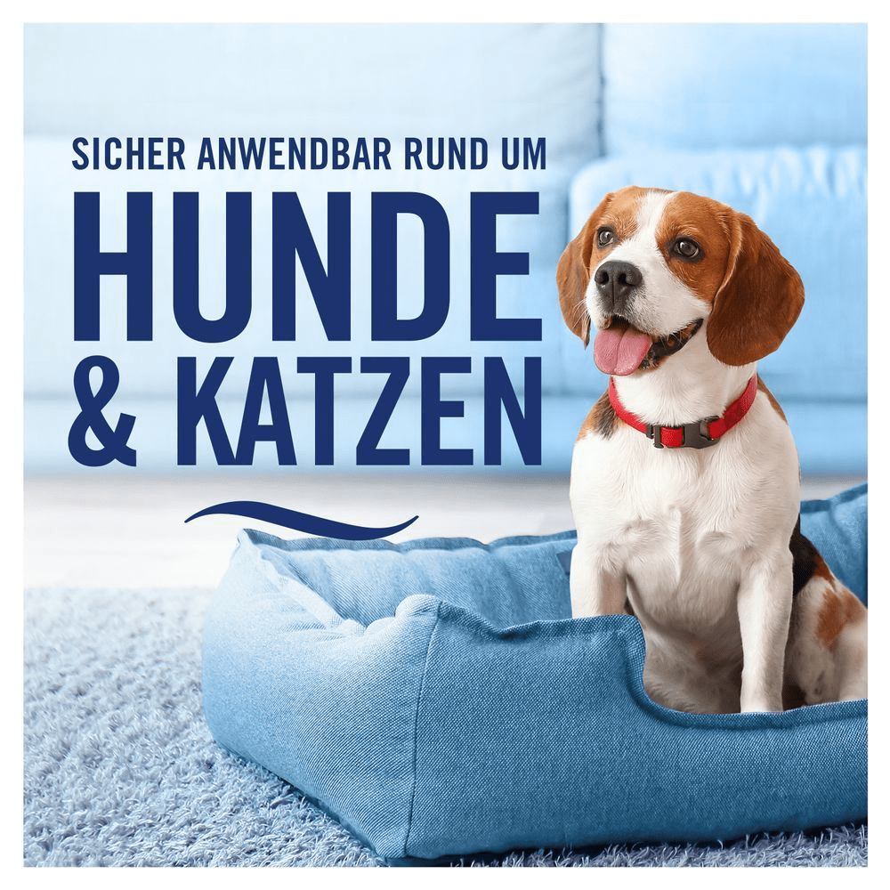 Bild: Febreze Textilerfrischer Goldene Orchidee