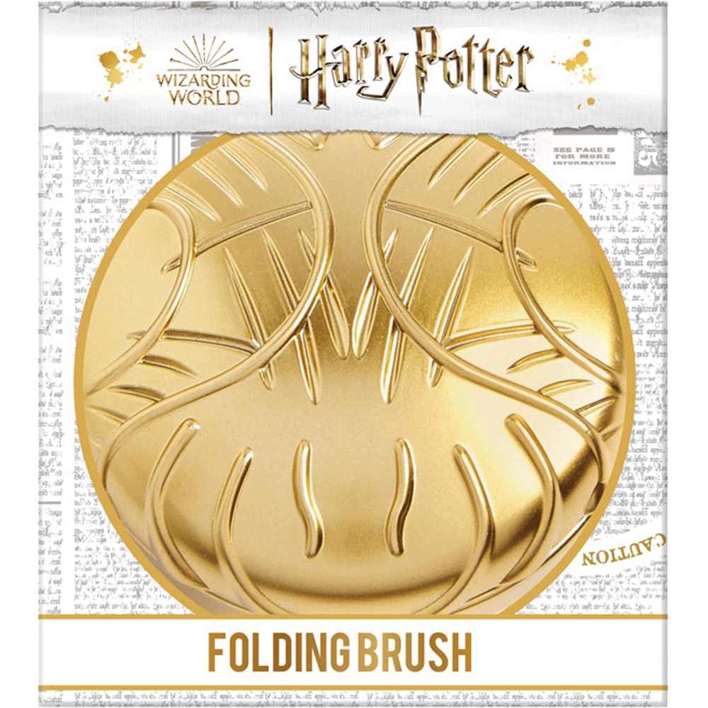 Bild: Harry Potter Bürste 
