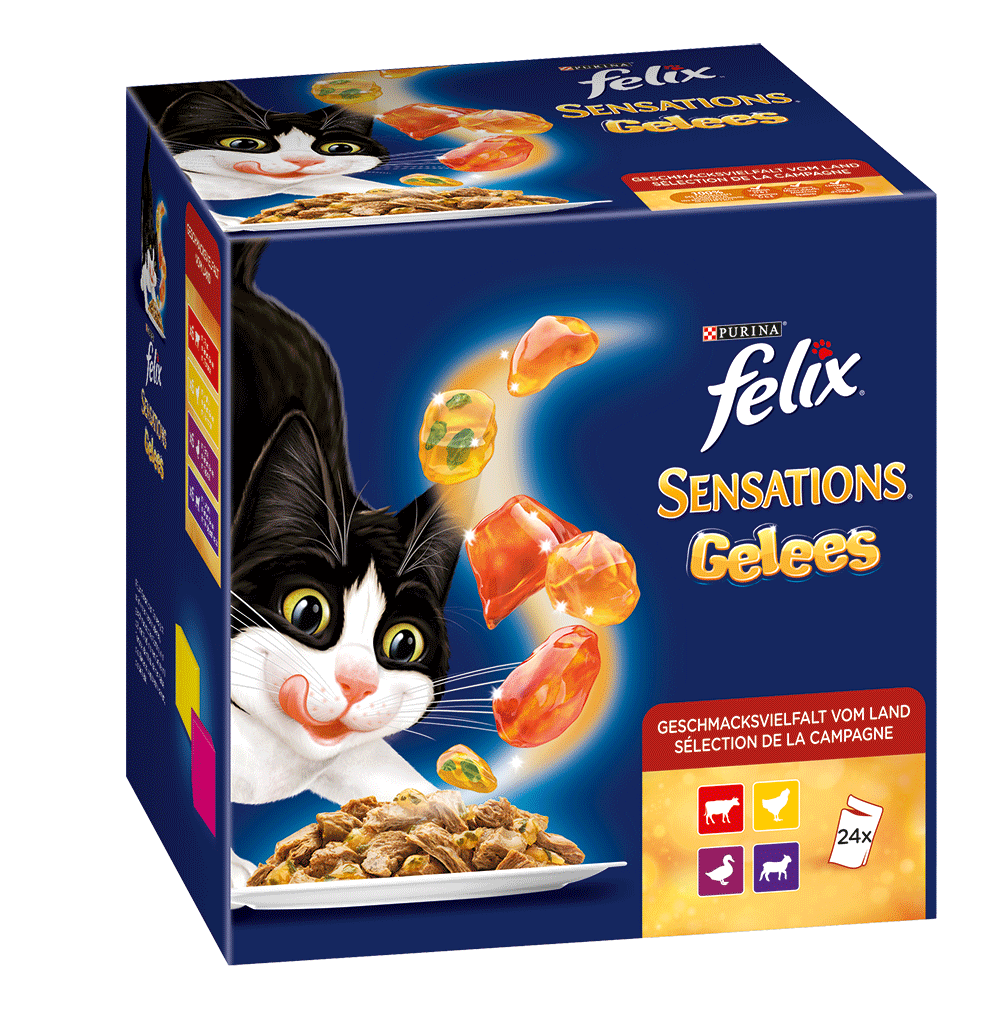 Bild: Felix Sensations Fleisch 24x85g