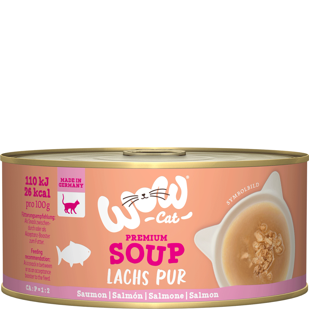 Bild: WOW Cat Soup Lachs Pur