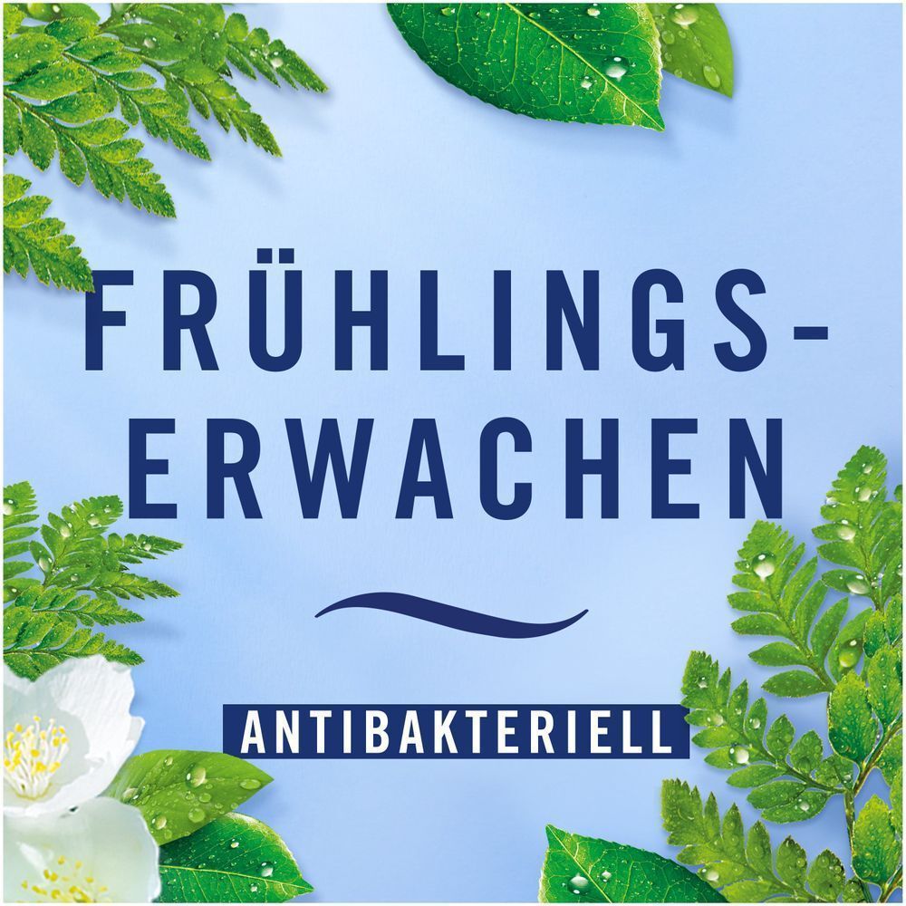 Bild: Febreze Auto Lufterfrischer Frühlingserwachen