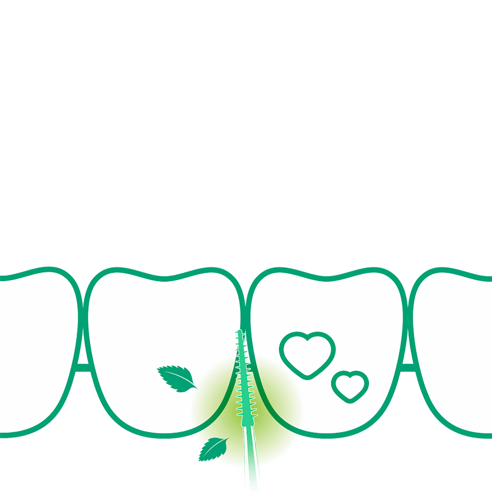 Bild: GUM Soft Picks Minty Medium