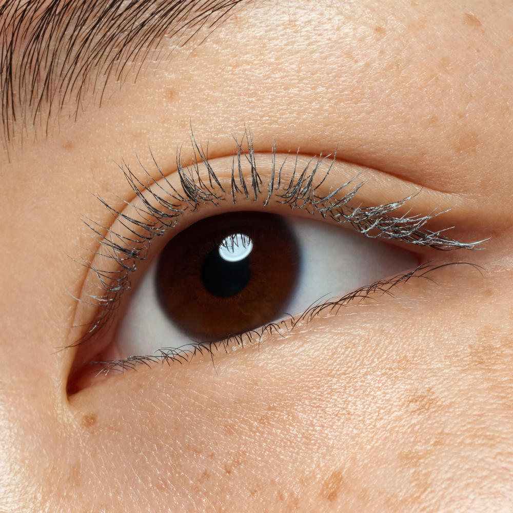 Bild: essence Lash PRINCESS MASCARA PRIMER extra length & volume