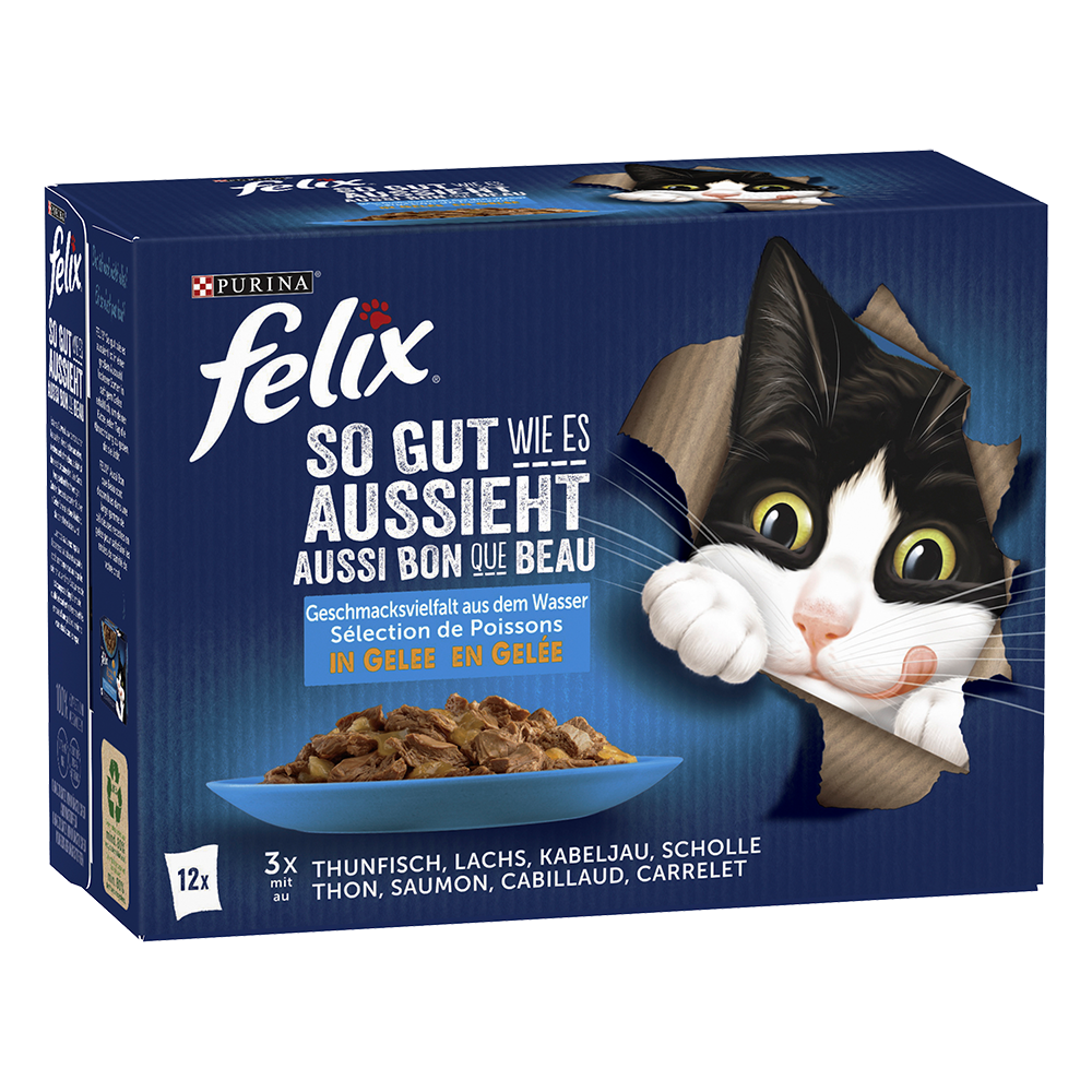 Bild: Felix Geschmacksvielfalt aus dem Wasser in Gelee 