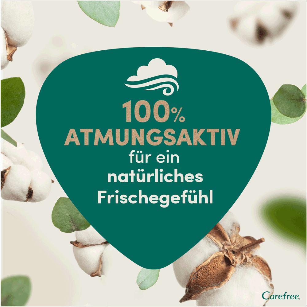 Bild: Carefree Organic Cotton Topsheet Slipeinlagen Long