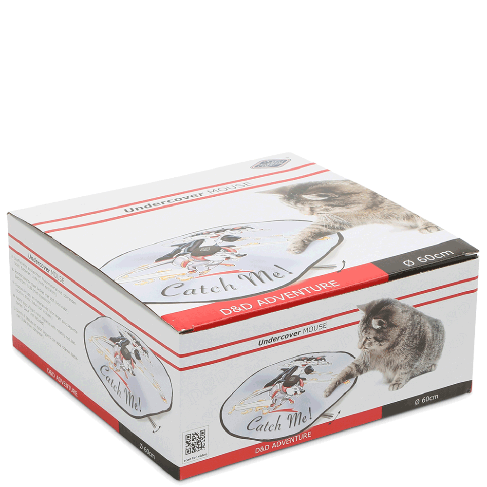 Bild: D&D Adventure Undercover-Mouse Fun
