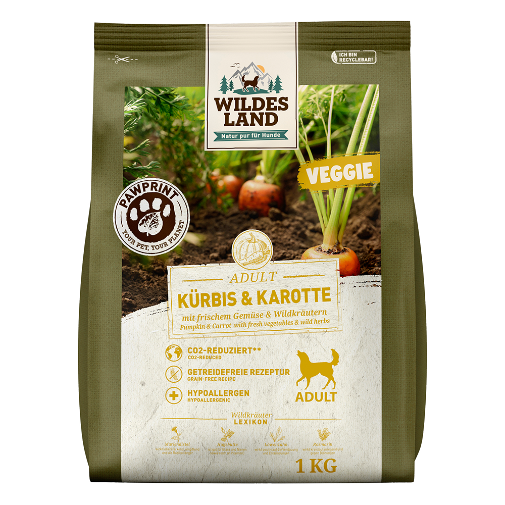 Bild: Wildes Land Kürbis und Karotte mit Gemüse und Wildkräutern