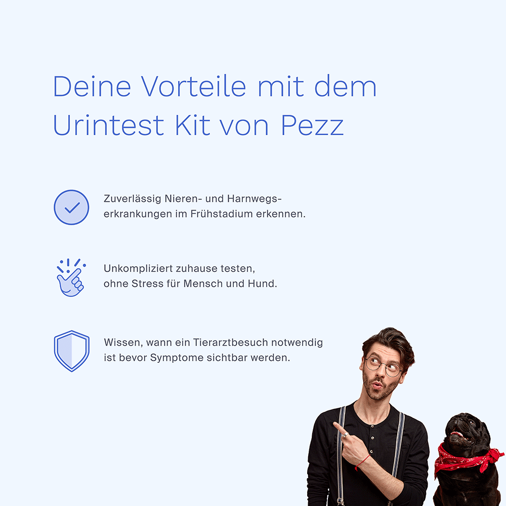 Bild: Pezz Life Urintest Kit für Hunde