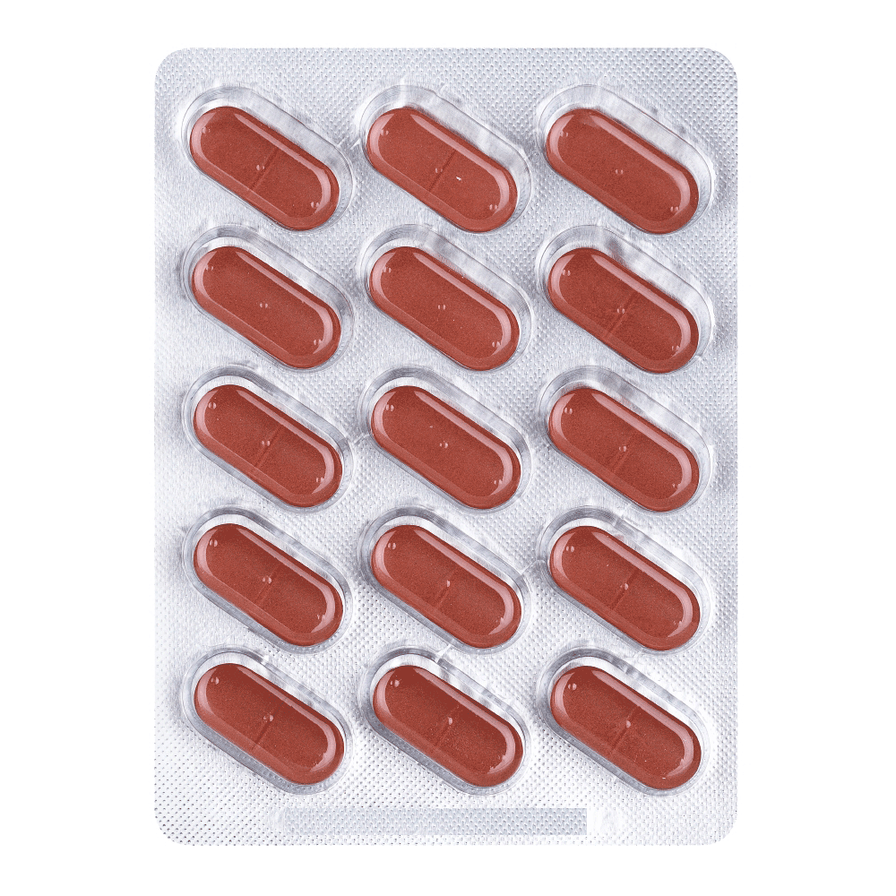 Bild: BI LIFE Knochen und Knorpel