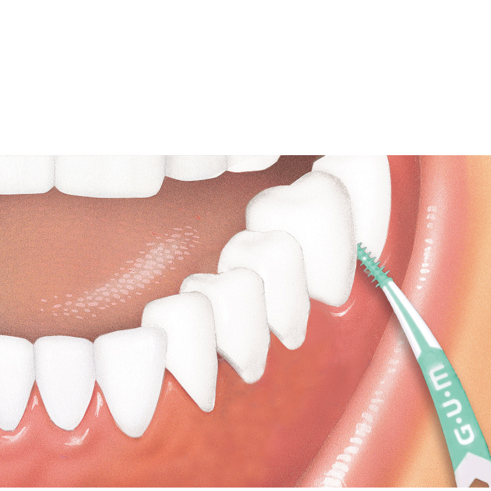 Bild: GUM SOFT-PICKS Advanced Small 