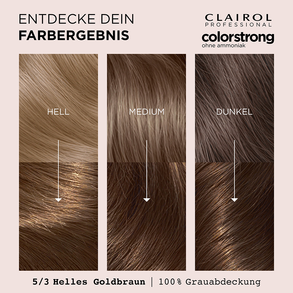 Bild: Clairol Professional Colorstrong Permanente Coloration Helles Goldbraun Helles Goldbraun