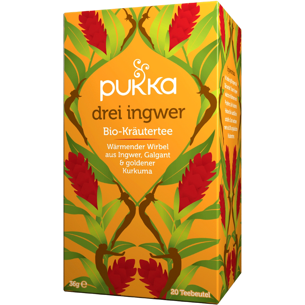 Bild: pukka Bio Tee Drei Ingwer