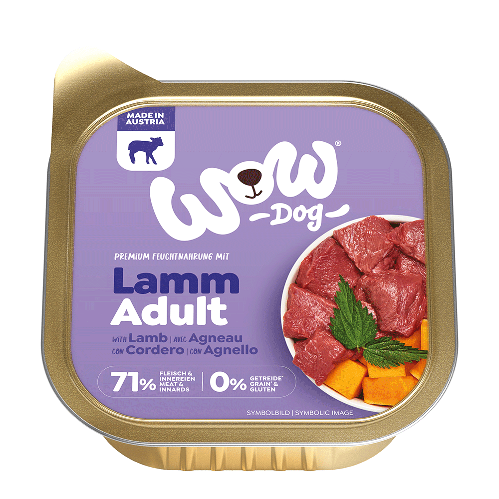 Bild: WOW Adult mit Lamm und Kürbis