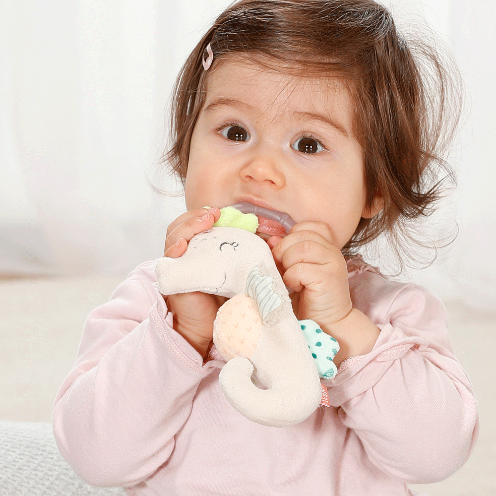 Bild: Fehn Mini Seepferd