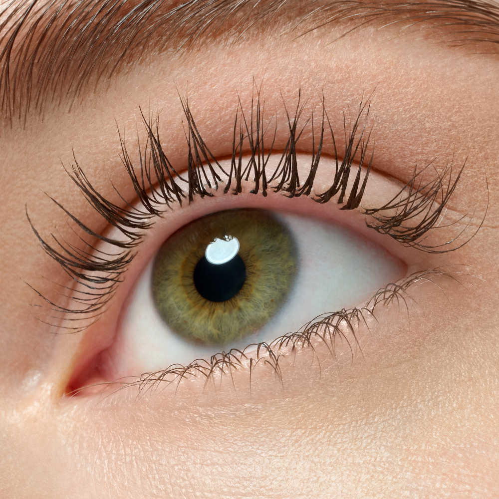 Bild: essence Lash PRINCESS false lash effect mascara black brown braun