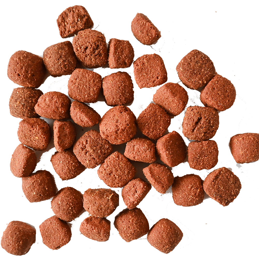 Bild: Rupp Vollwert Brocken mit Rind und Lamm