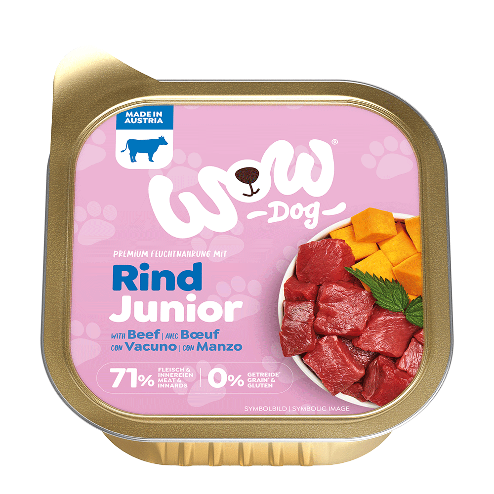 Bild: WOW Junior mit Rind, Kürbis und Brennnessel