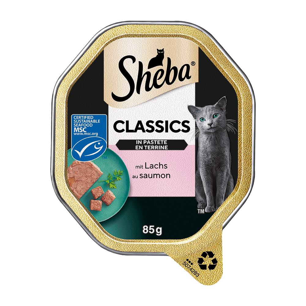 Bild: Sheba Classics in Pastete mit Lachs