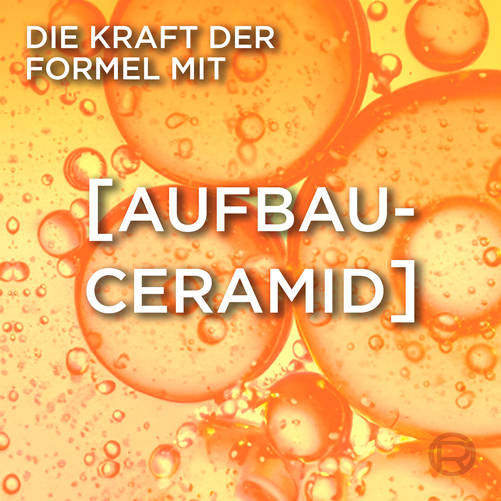 Bild: L'ORÉAL PARIS ELVITAL Anti-Haarbruch Pflegendes Aufbau Shampoo