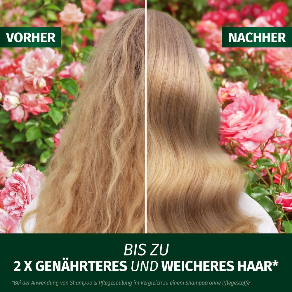 Bild: Herbal essences Blütensaft Schwereloses All In 1 Leave-In Spray mit Rosenduft
