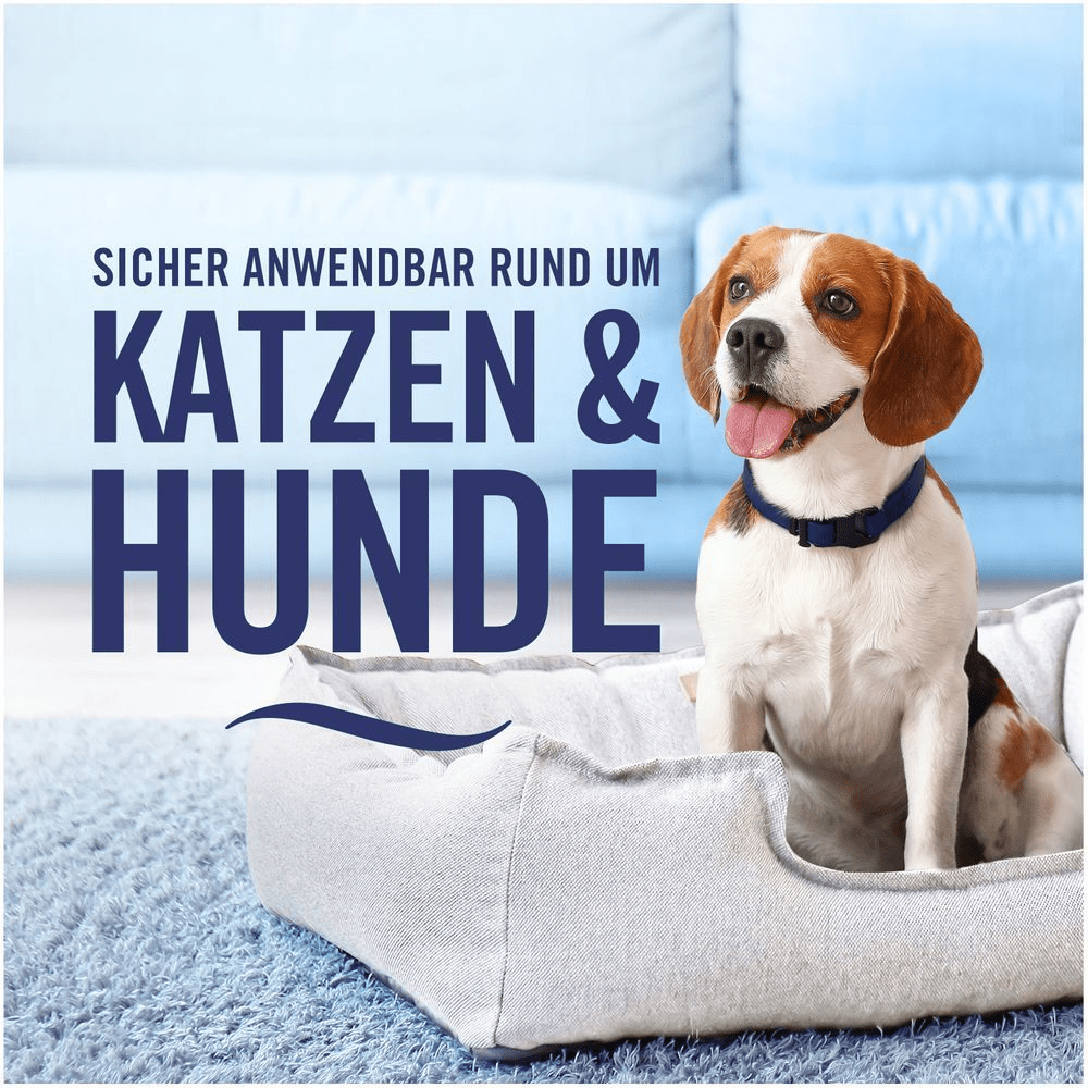 Bild: Febreze Textilerfrischer Goldene Orchidee