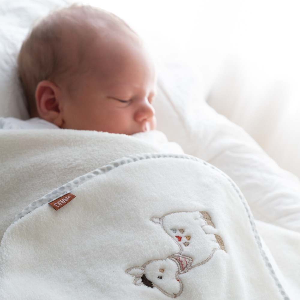 Bild: Fehn Kuscheldecke Lama
