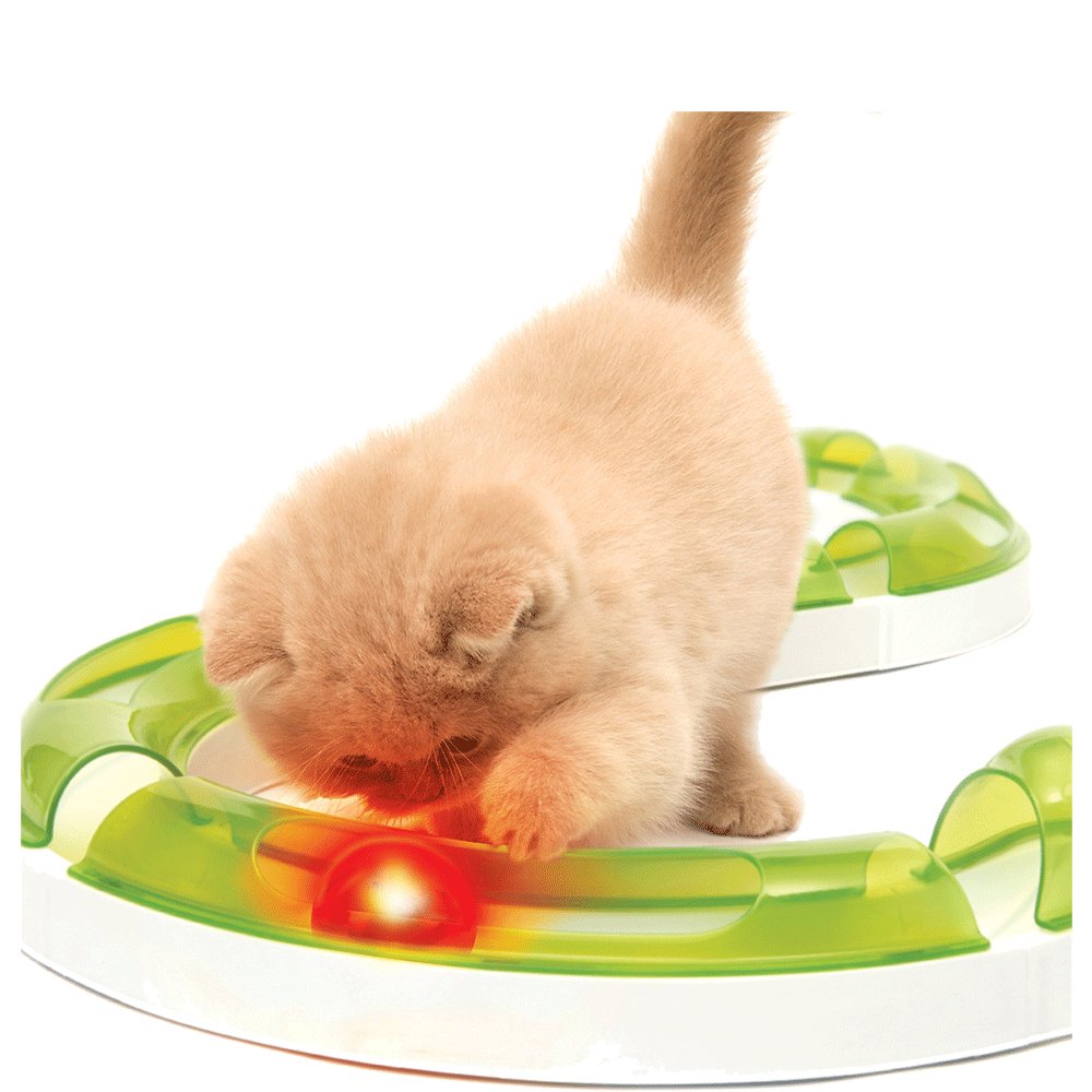 Bild: catit Senses 2.0 Fireball für Spielschiene