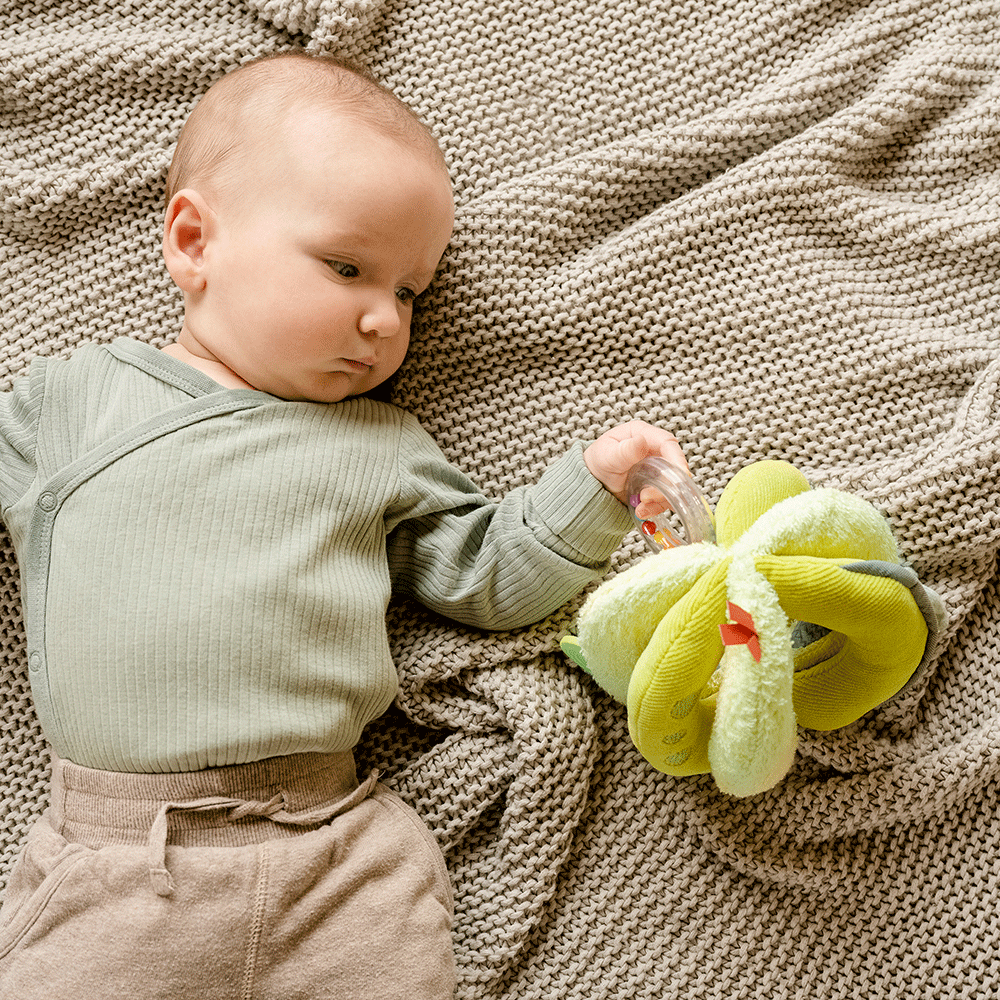 Bild: Fehn Activity Ball Happy Dino