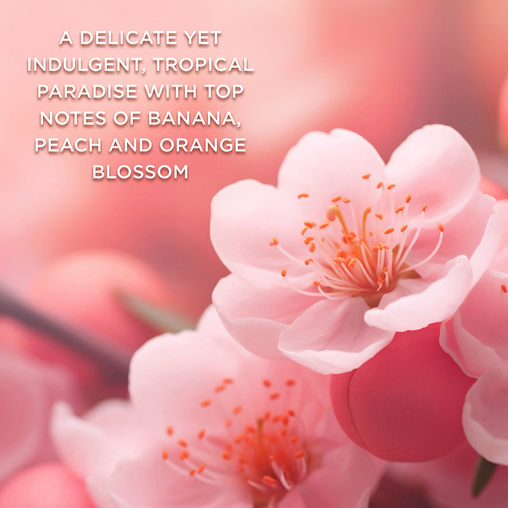 Bild: Baylis & Harding Geschenkset Boudoire