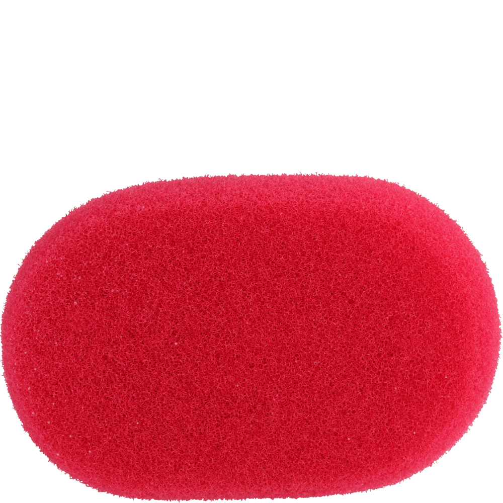 Bild: PARSA Beauty Peeling - und Massageschwamm