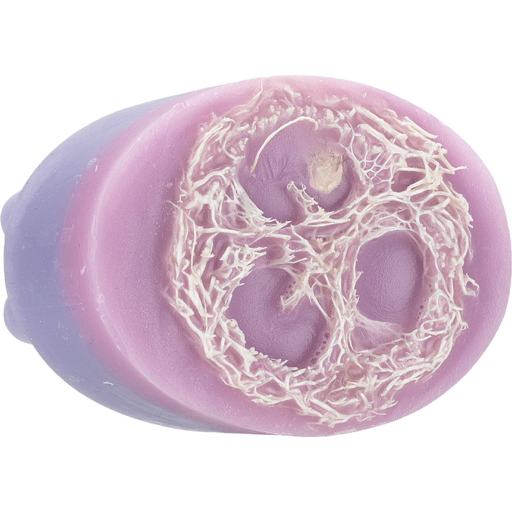 Bild: BI CARE Feste Dusch- & Massageseife mit Luffa Schwamm