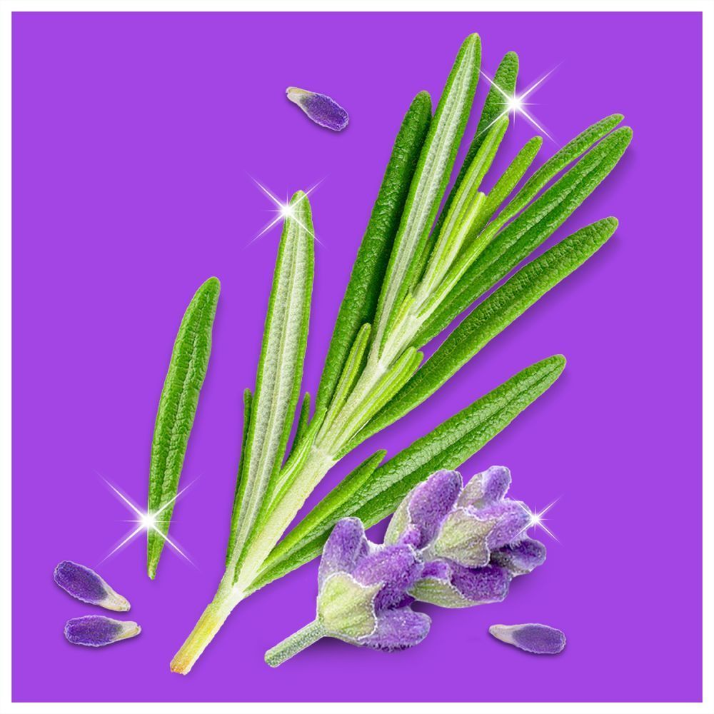 Bild: Meister Proper Sprühen-Wischen-Fertig Glasreiniger 