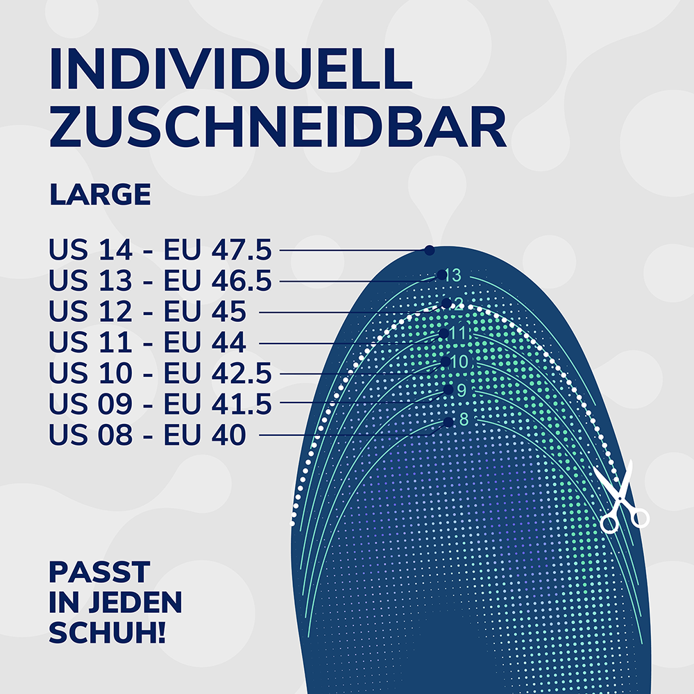 Bild: Scholl Einlegesohlen 24 Hour Energy, Gr. L 