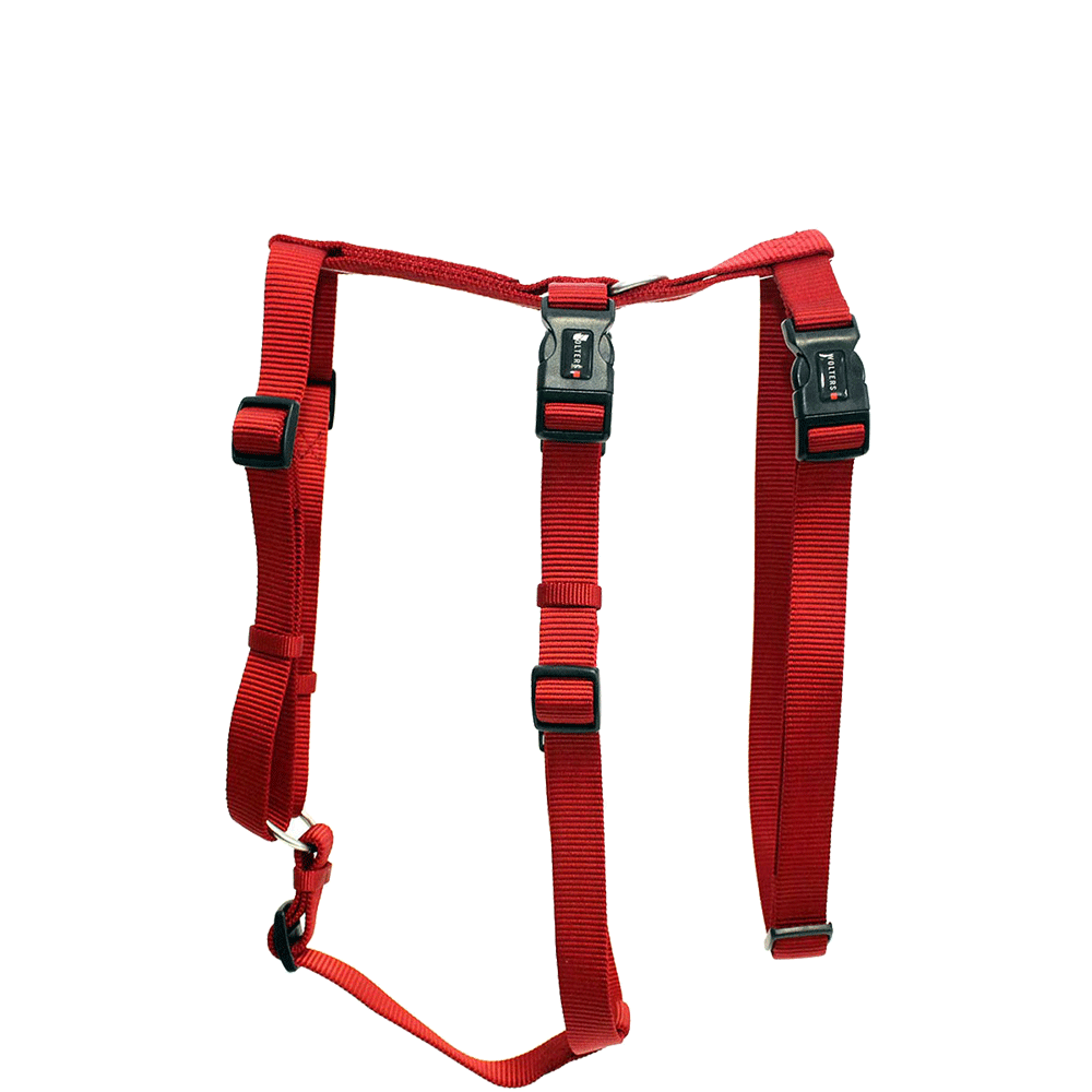 Bild: WOLTERS Cat & Dog Professional Geschirr Rot L