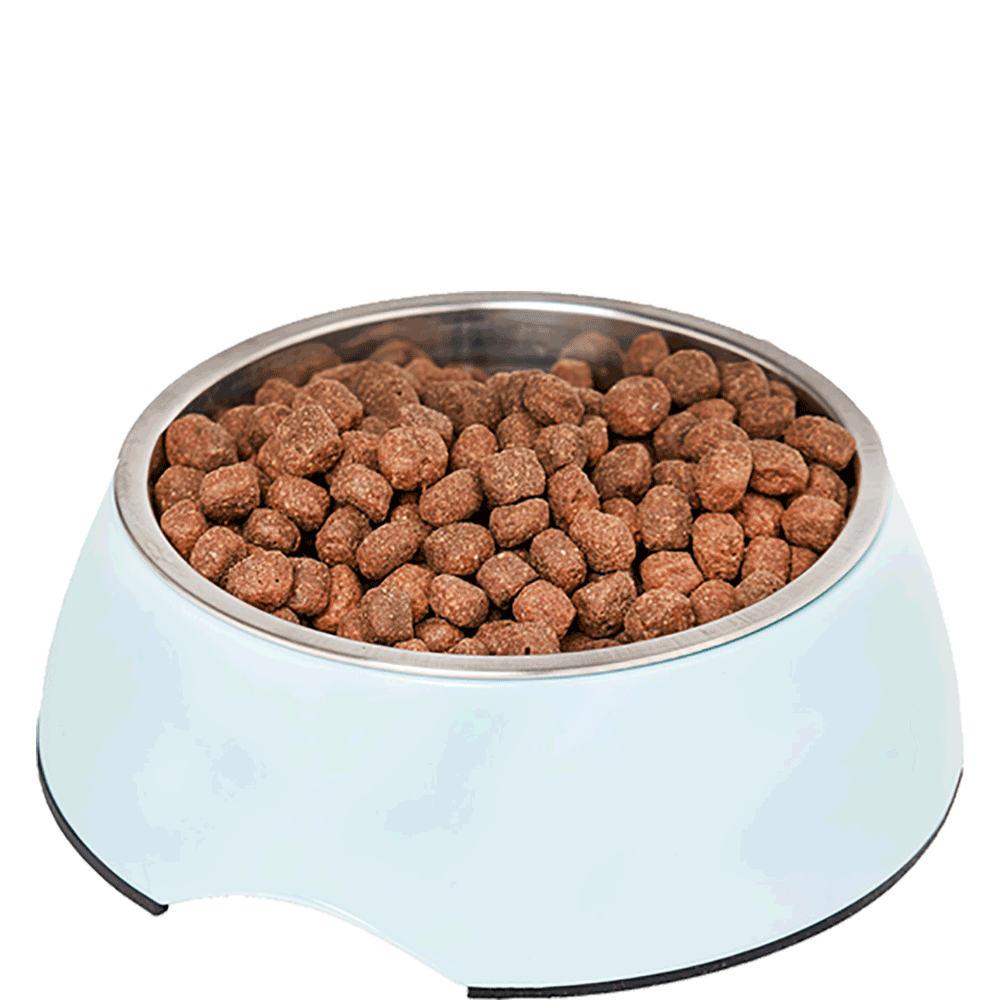 Bild: ZooRoyal Melamin-Napf petrol