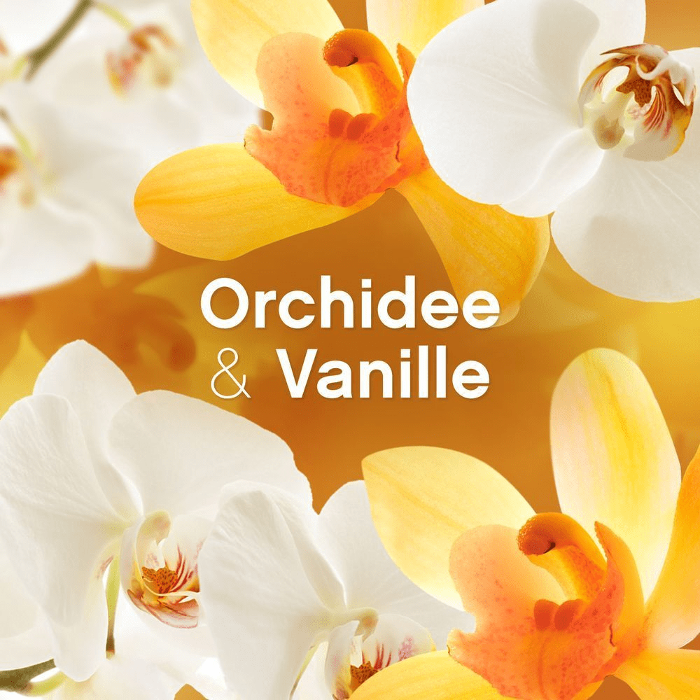 Bild: Lenor Weichspüler, Orchidee & Vanille