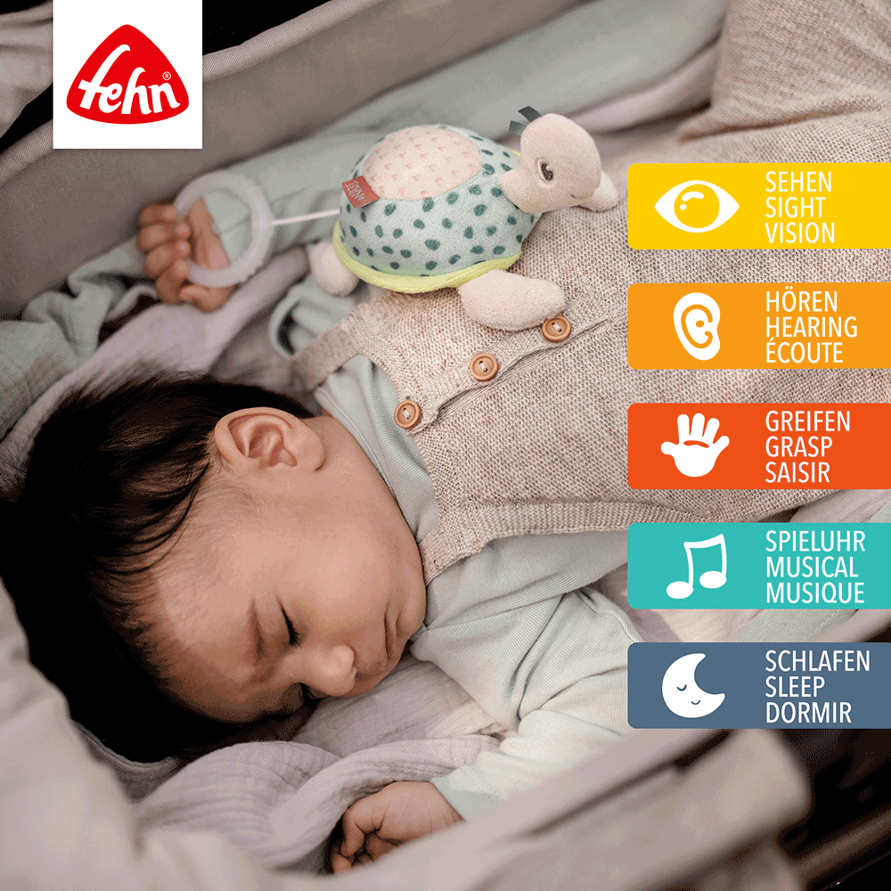 Bild: Fehn Mini Spieluhr Schildkröte