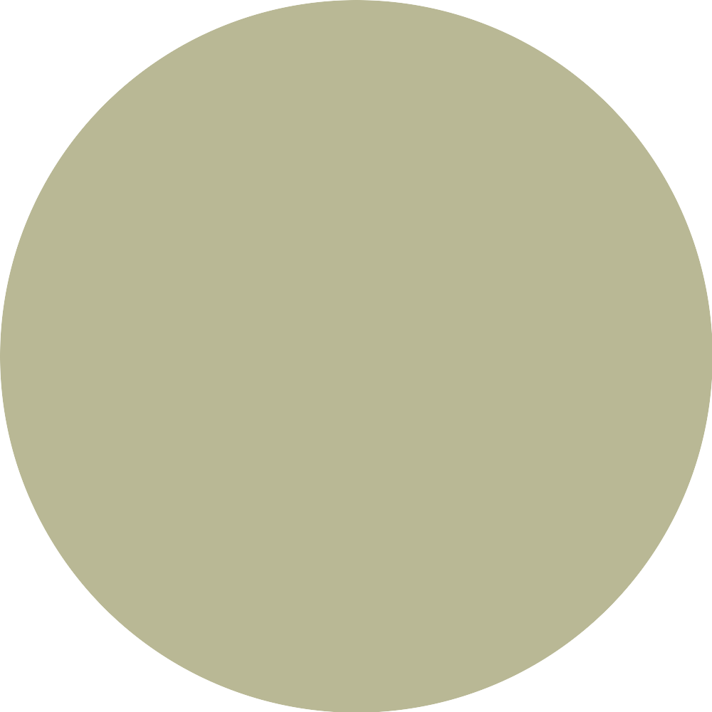 Bild: essence studio nails UV GEL NAIL polish SAGE the day 16