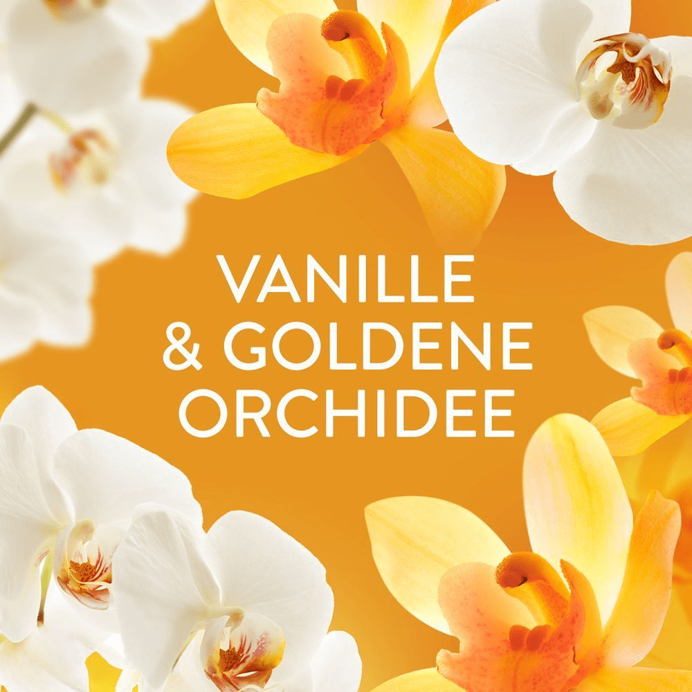 Bild: Lenor Wäscheparfüm Goldene Orchidee 