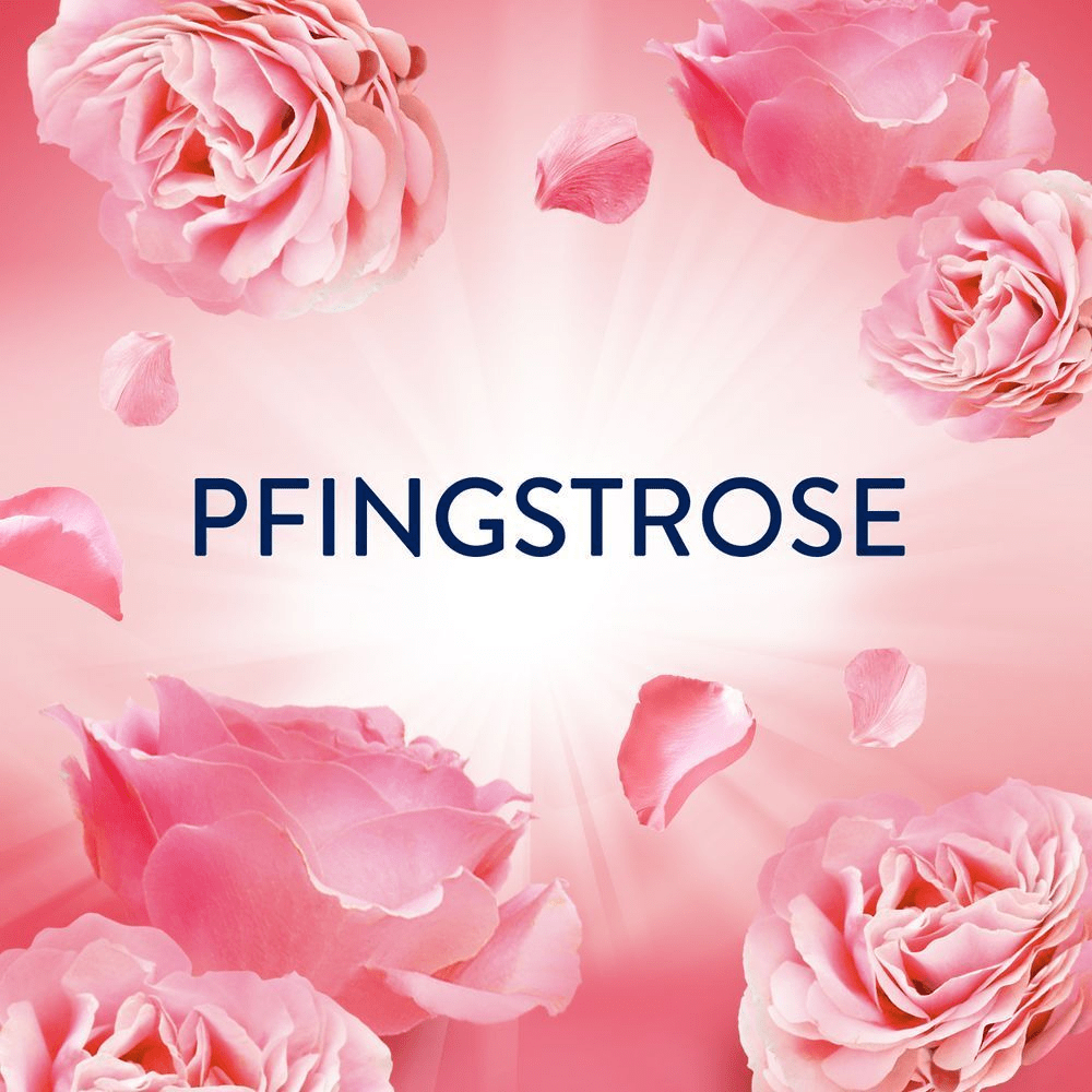 Bild: Lenor Wäscheparfüm Pfingstrose 