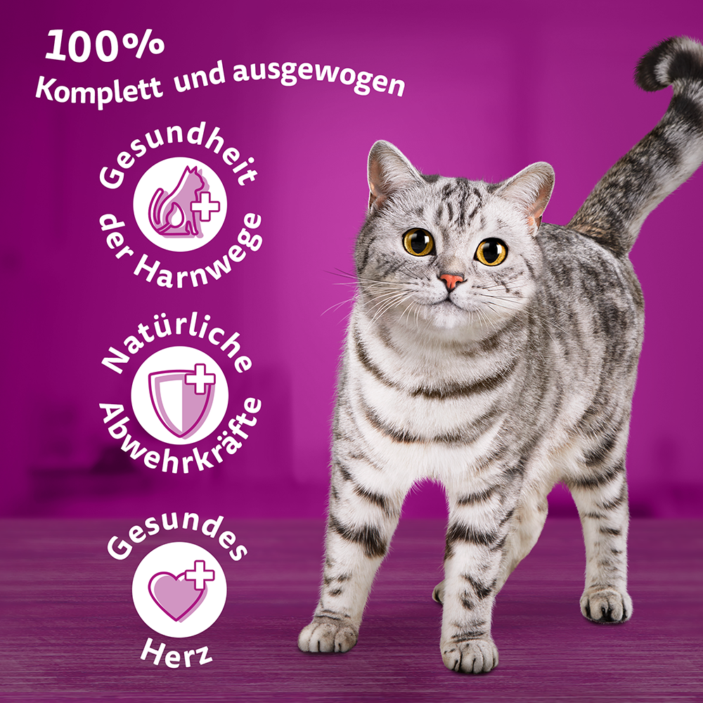 Bild: Whiskas Trockenfutter mit Huhn