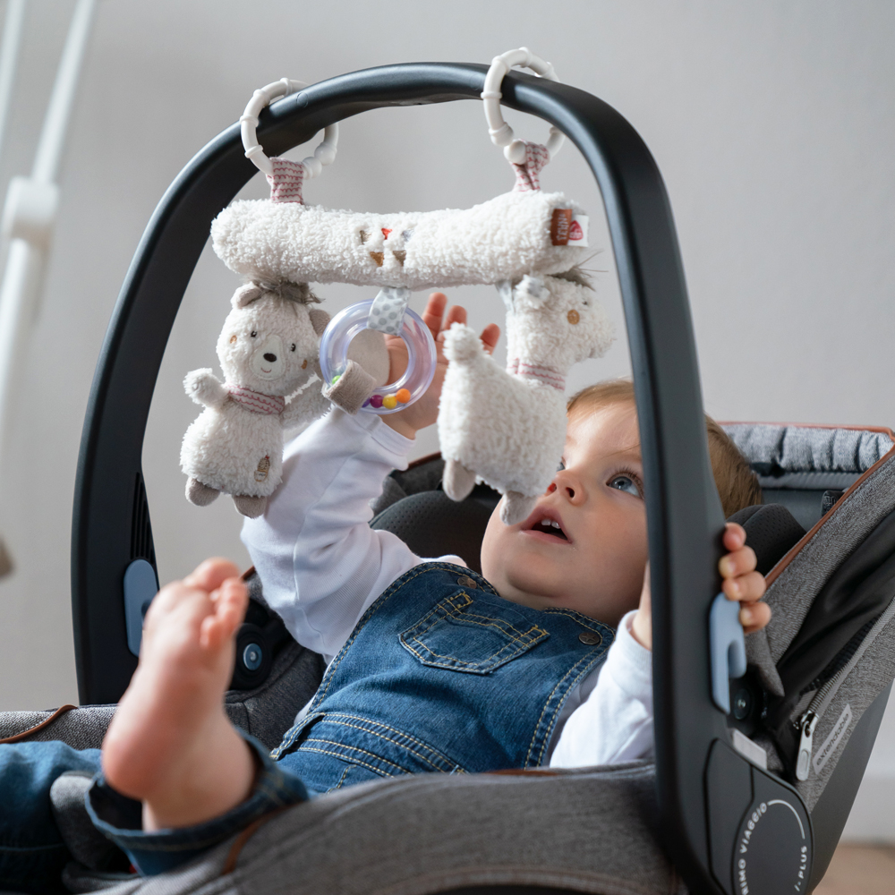 Bild: Fehn Activity-Trapez Peru 