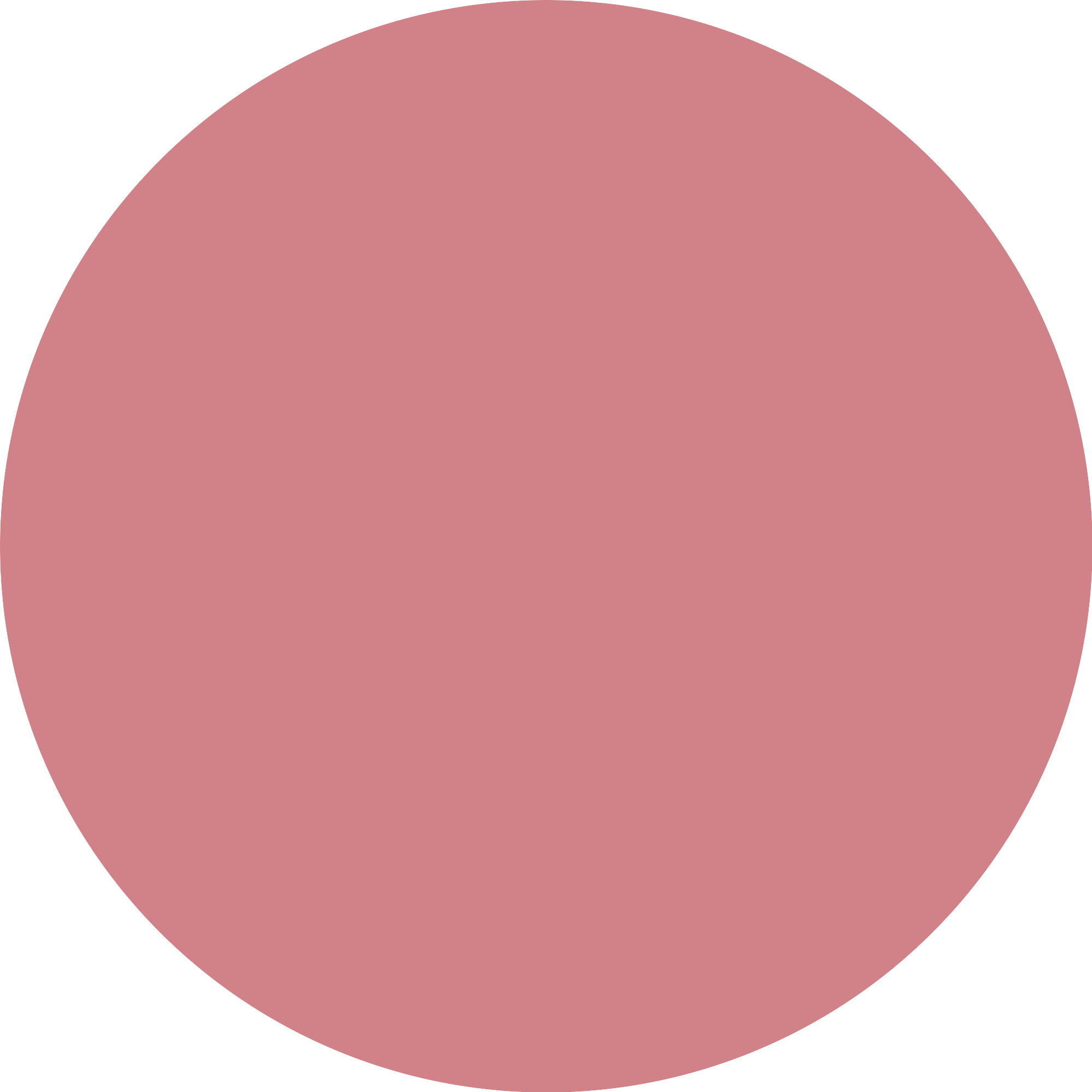 Bild: Catrice Velvet Pudding Blurring Blush Raspberry Fudge 010